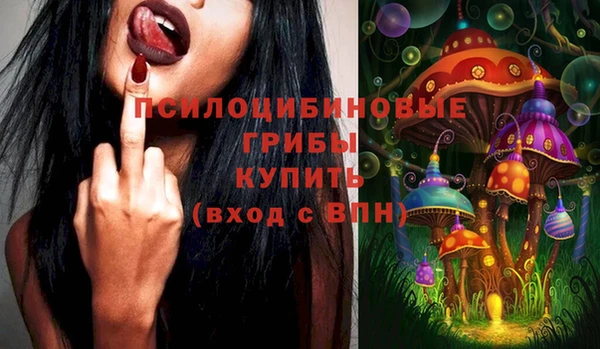 спиды Михайловск