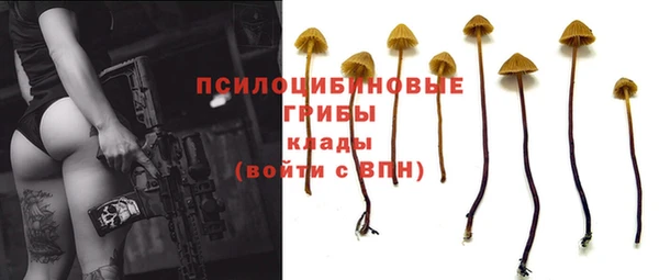 mdma Михайлов
