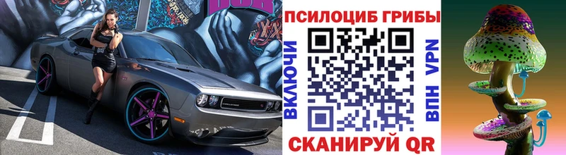 Псилоцибиновые грибы Cubensis  MEGA зеркало  Ивангород 